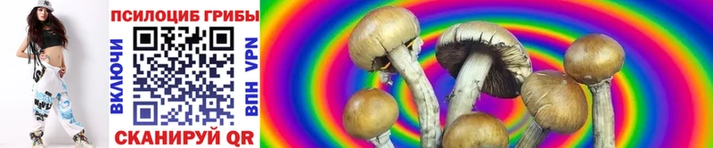 blacksprut ссылка  Урус-Мартан  Галлюциногенные грибы мухоморы 