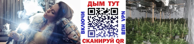 Шишки марихуана планчик  блэк спрут tor  дарк нет какой сайт  Урус-Мартан 
